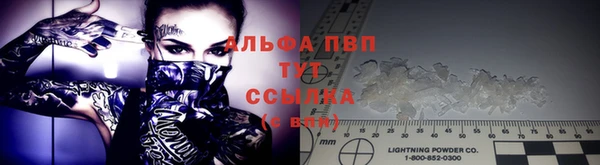 тгк Белокуриха
