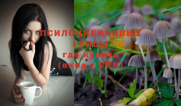 тгк Белокуриха