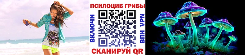 цена   МЕГА ТОР  Псилоцибиновые грибы GOLDEN TEACHER  Котельниково 